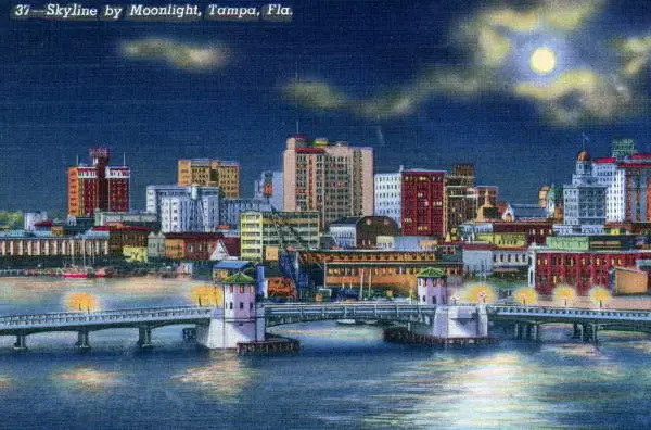 Tampa, FL location and cityscape